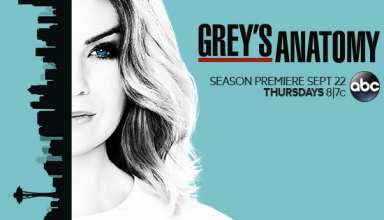 Grey's Anatomy, Season 13