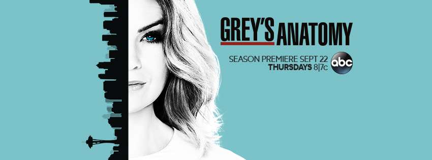 Grey's Anatomy, Season 13