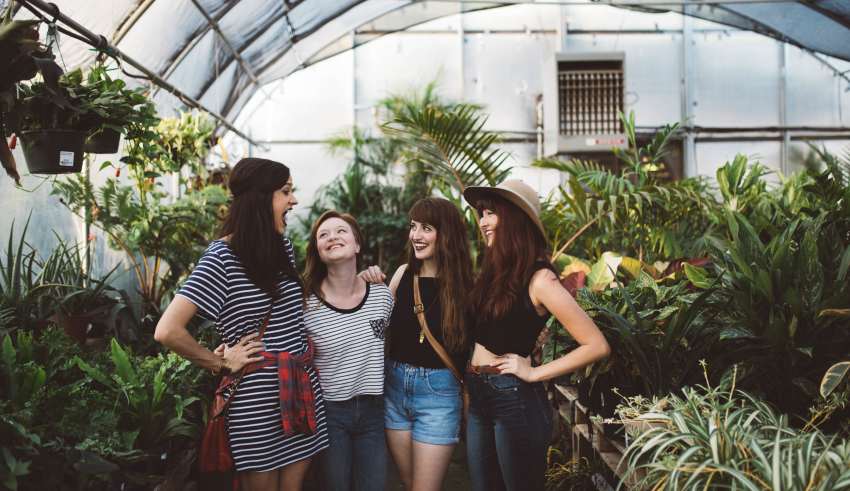 Friends