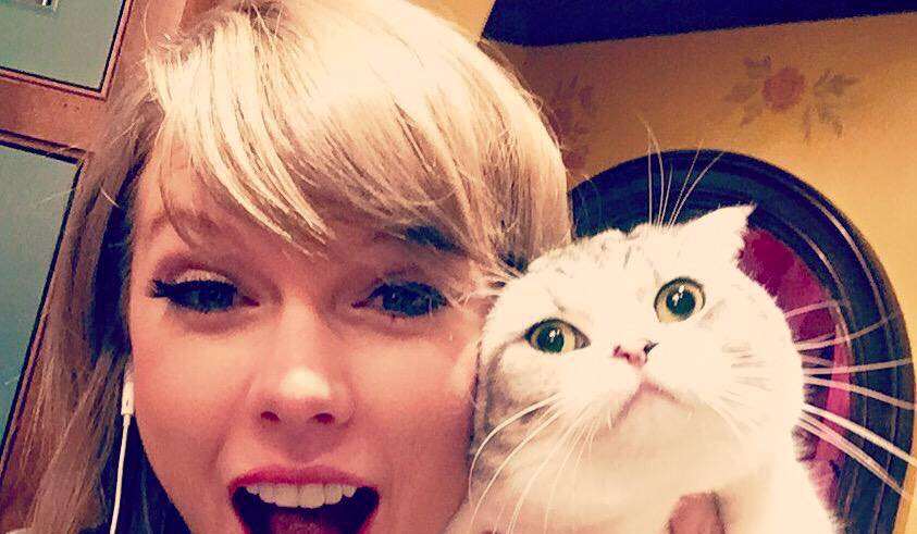 Taylor Swift, Calvin Harris