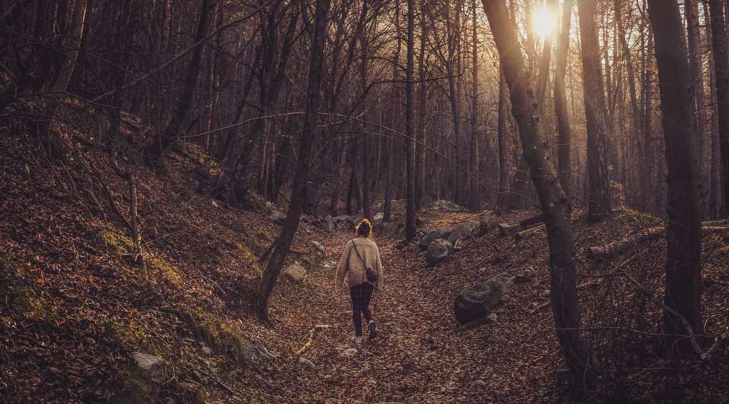 Photo by Cristina Gottardi via Unsplash