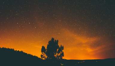December 22, Winter solstice, Longest night