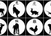 Chinese New Year 2017, Year of the Fire Rooster, lucky numbers, lucky color