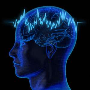 human brain, death, brain activity