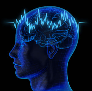 human brain, death, brain activity