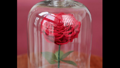 Beauty And The Beast, Enchanted Rose