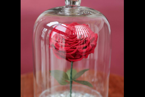 Beauty And The Beast, Enchanted Rose
