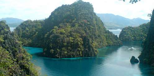 Nickelodeon, Coron, Palawan, Coral World Park, opposition, pull out