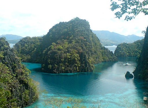 Nickelodeon, Coron, Palawan, Coral World Park, opposition, pull out