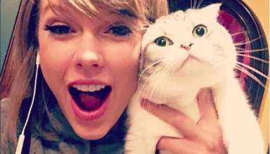 Taylor Swift