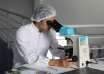 Protein, MIDKINE, Cancer, metastasis, spread, prevention