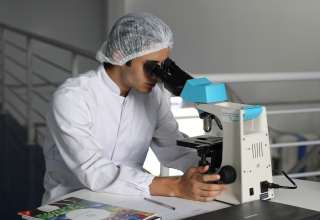 Protein, MIDKINE, Cancer, metastasis, spread, prevention