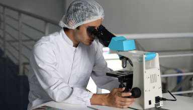 Protein, MIDKINE, Cancer, metastasis, spread, prevention