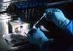 Cancer vaccines, clinical trials, cancer research, treatment, re-occurrence, effectivity