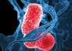 Antimicrobial resistance, superbugs, G20, global health problem, antibiotics use