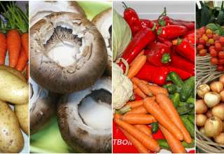 small diet changes, diet, healthy eating, live longer, mortality risk