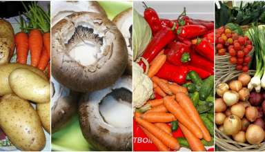 small diet changes, diet, healthy eating, live longer, mortality risk