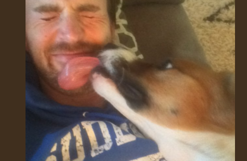 Chris Evans, Dodger