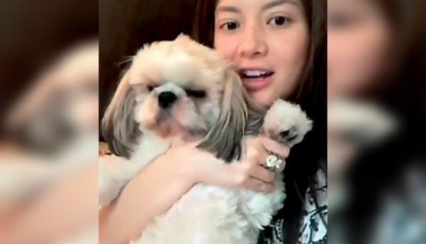 Ellen Adarna, John Lloyd Cruz