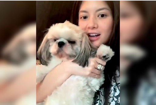 Ellen Adarna, John Lloyd Cruz