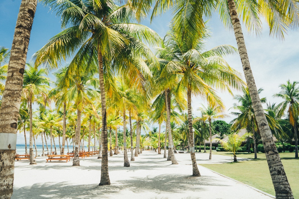 Panglao