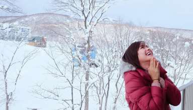 Erich Gonzales, Japan