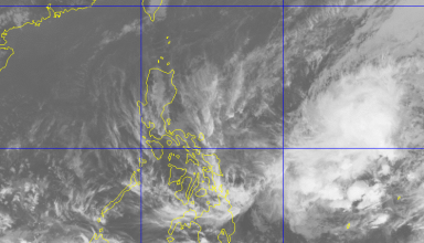 Typhoon Caloy, Jelewat