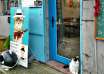 Taiwan, Houtong, cat village, cat lovers, felines, how to get there