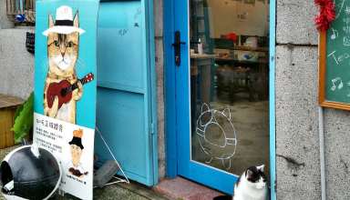 Taiwan, Houtong, cat village, cat lovers, felines, how to get there