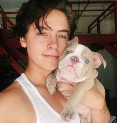 cole sprouse, bench