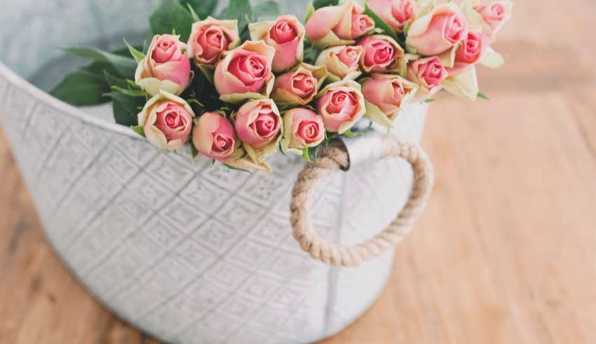 Mother's Day, gift ideas, surprise, mothers, appreciation