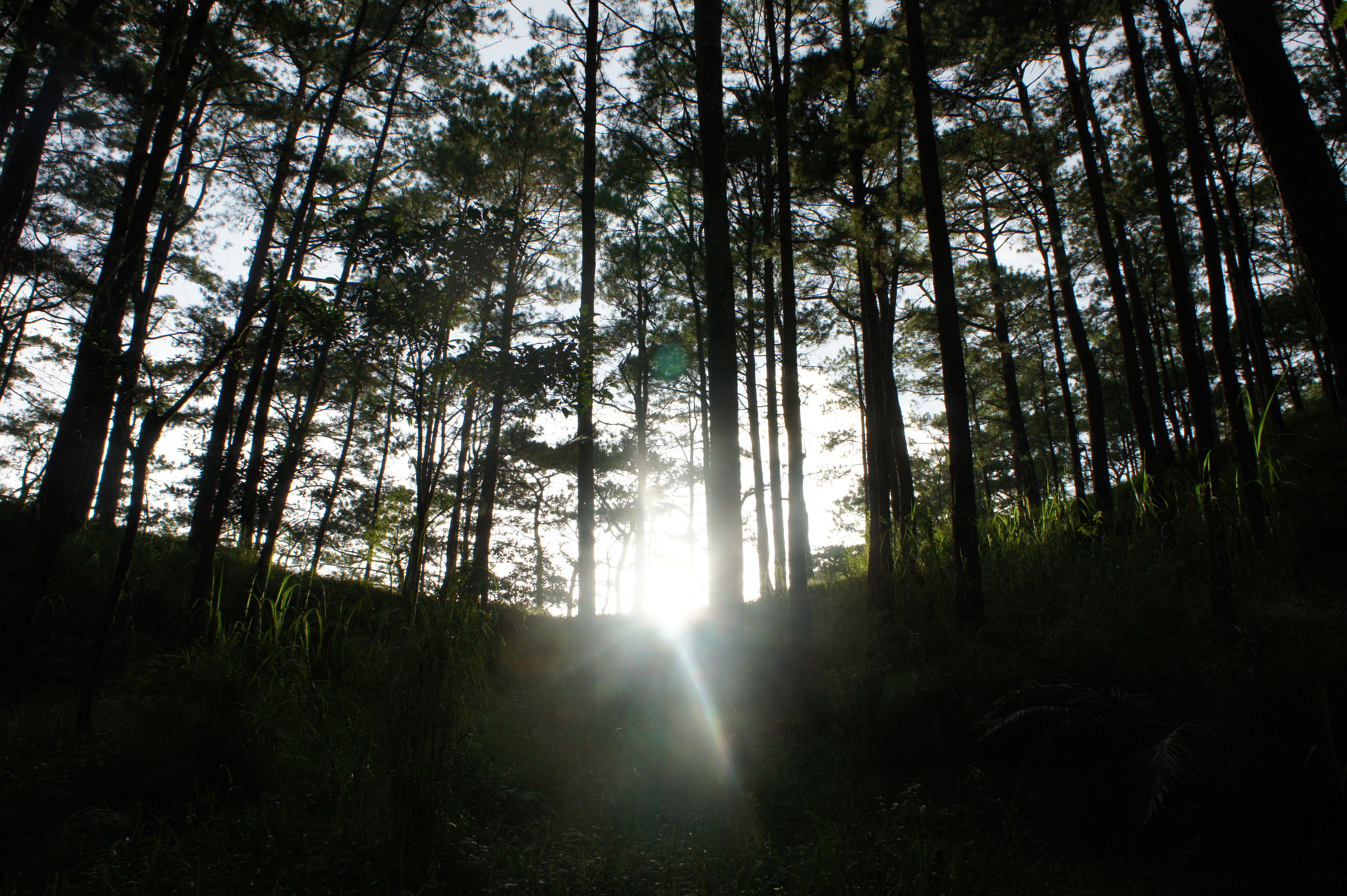 Romantic Places To Visit In Baguio