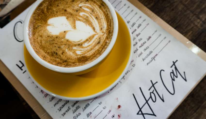 Hot Cat Specialty Coffee, Baguio