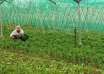 Our Farmers' Haven
