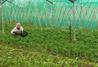 Our Farmers' Haven