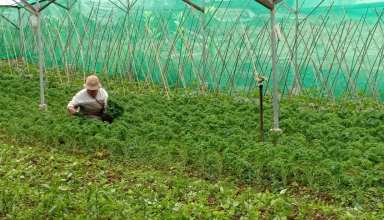 Our Farmers' Haven