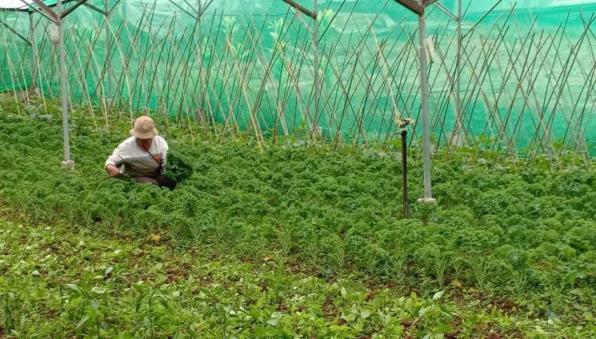 Our Farmers' Haven