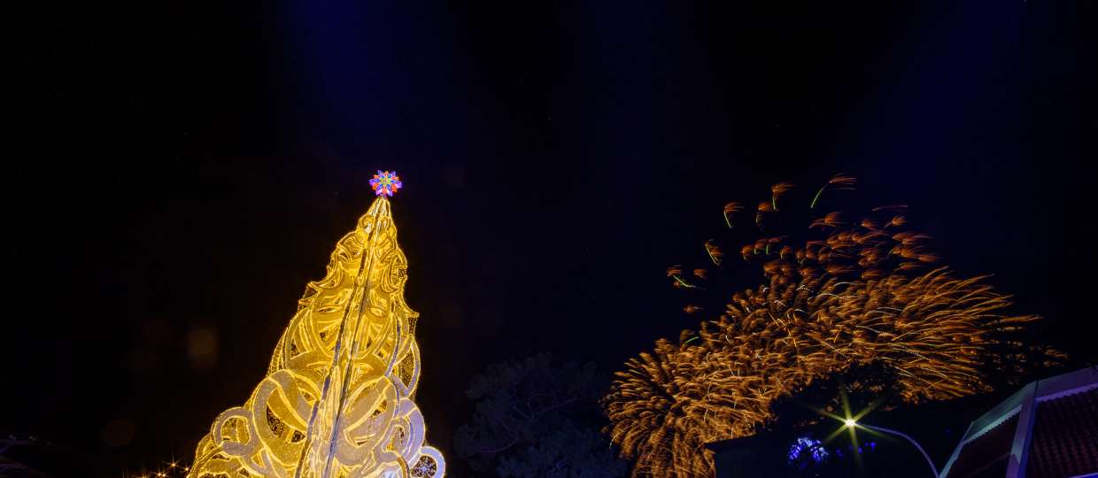 Christmas in Baguio