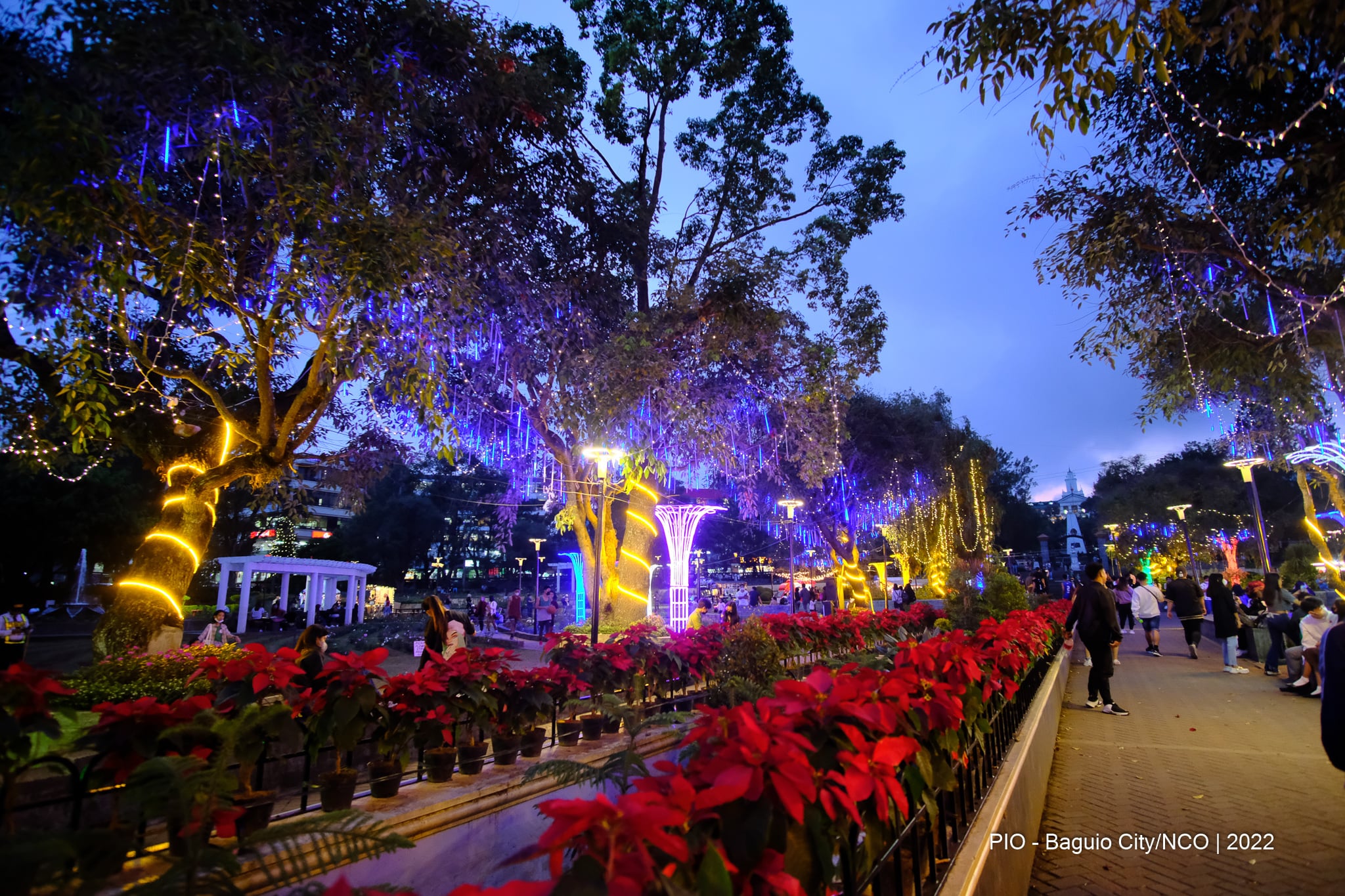 Christmas in Baguio