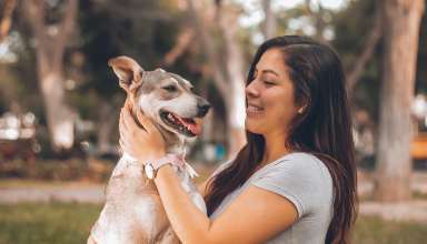 dog films