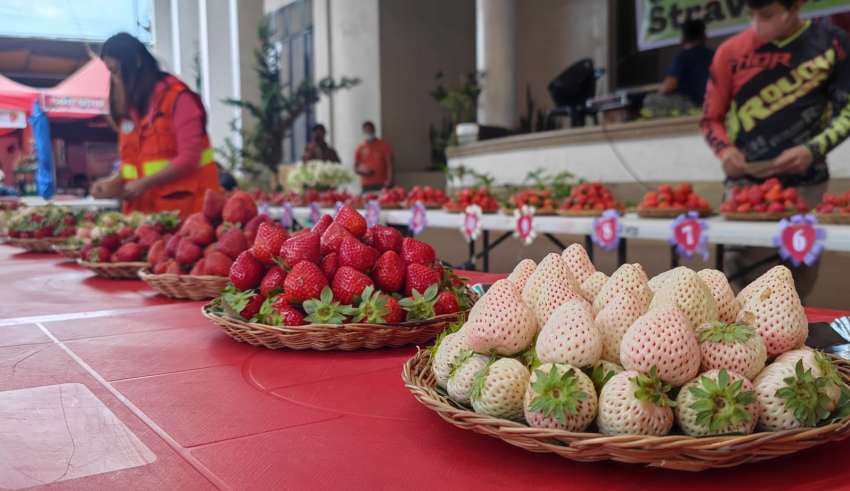 Strawberry Fest 2023