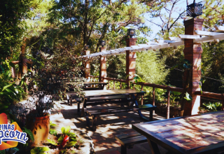 KoCo Cafe Garden and Picnic Area. Photo by Leila Rolith