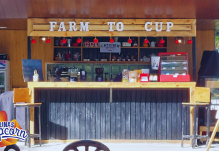 Bringing the Farm to Your Cup: Benguet-CAR Coffee Course and Advocacy