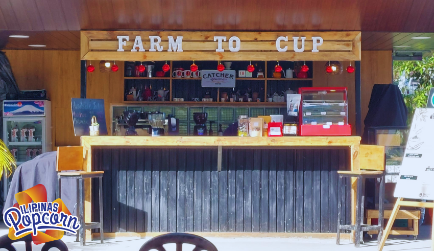 Bringing the Farm to Your Cup: Benguet-CAR Coffee Course and Advocacy