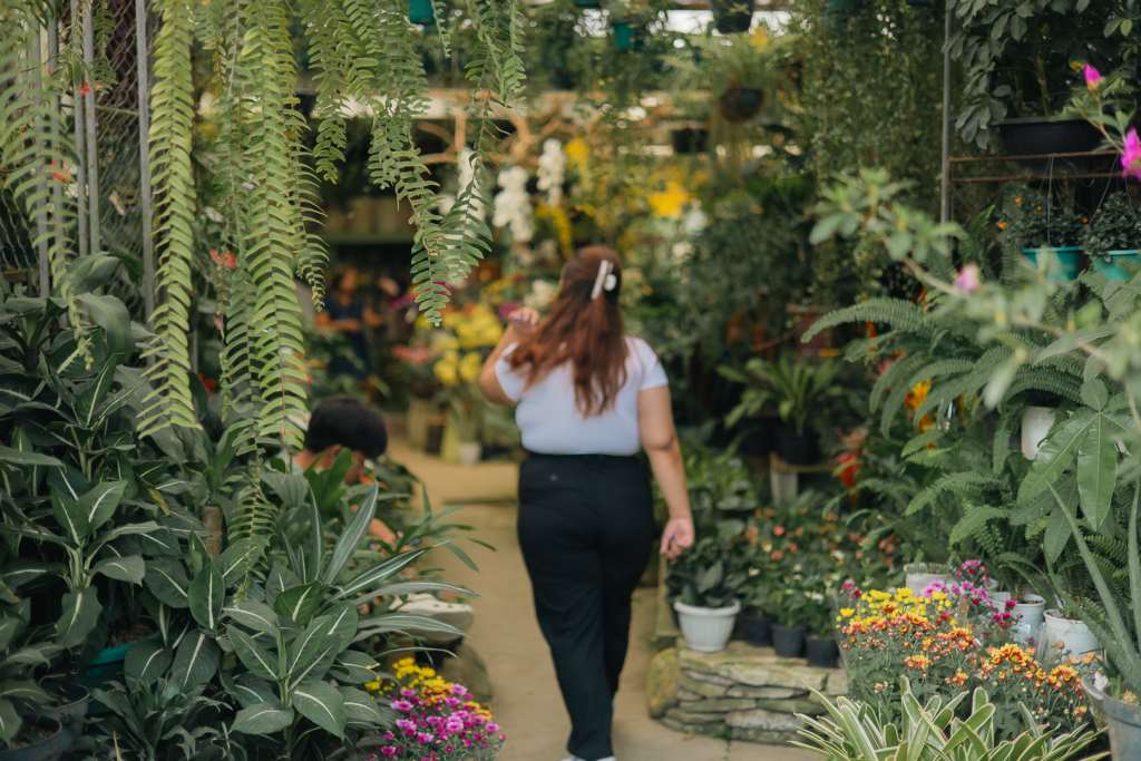 A woman browsing through an array of plant stalls